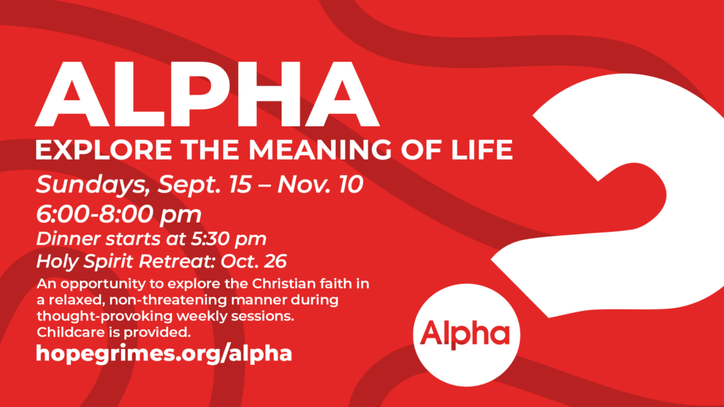 Alpha Sept Nov 2024 H